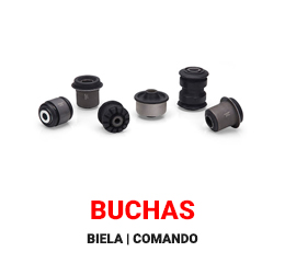 Buchas